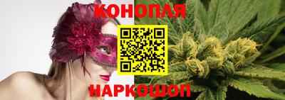 гидра Краснознаменск