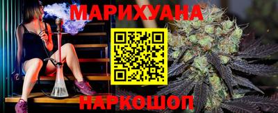 гидра Краснознаменск