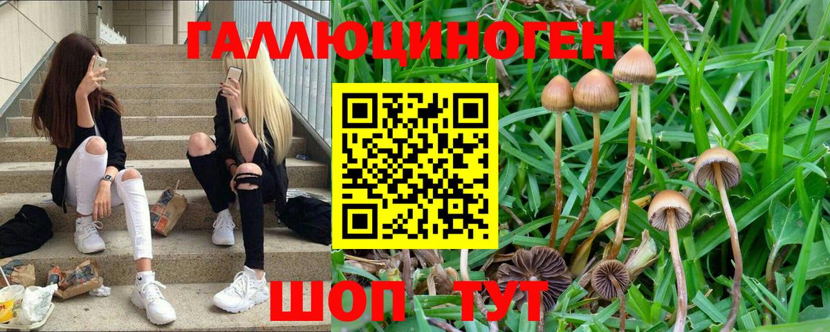Псилоцибиновые грибы ЛСД  Вход с VPN  Псилоцибиновые грибы GOLDEN TEACHER  Каменск-Уральский 